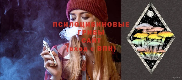 ПСИЛОЦИБИНОВЫЕ ГРИБЫ Аркадак