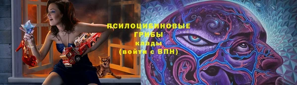 ПСИЛОЦИБИНОВЫЕ ГРИБЫ Аркадак